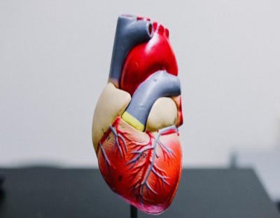 Can genetic testing help evaluate risk of heart disease
