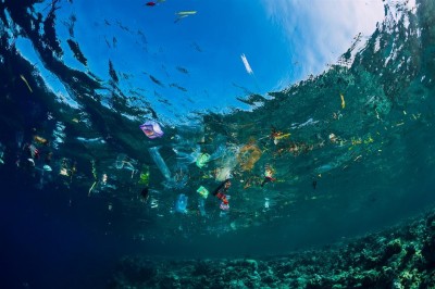 World Ocean Summit to debate developments in plastics, aquaculture World Ocean Summit to debate developments in plastics, aquaculture