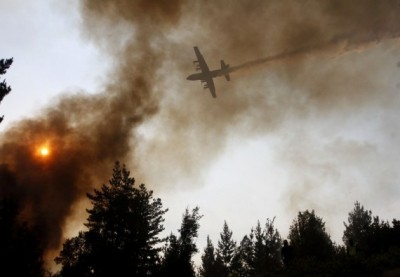 Chile blaze burns over 1,200 hectares of forest Chile blaze burns over 1,200 hectares of forest