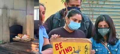 K'taka: Street dog given farewell after youth ran car over it K'taka: Street dog given farewell after youth ran car over it