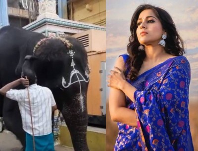 Actress Rashmi Gautam urges people to say no to animal rides, captivity