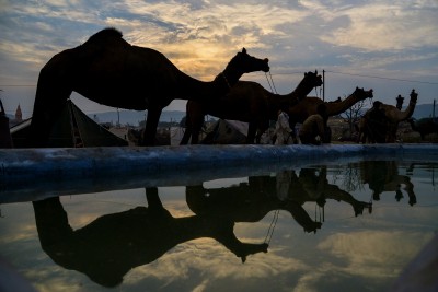 Despite high debts, Rajasthan hopes for silver lining soon Despite high debts, Rajasthan hopes for silver lining soon
