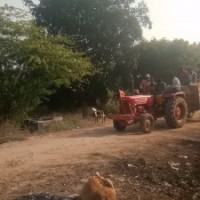 42 Bihar sand mafias under EOW's lens