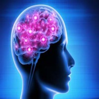 Study claims life replays before ours eyes when we die