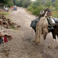 Modalities finalised for 'smart cards' to Transhumant tribals in J&K