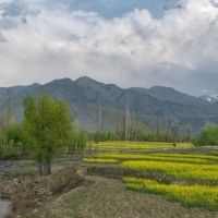 Kashmir's new destinations: An updated itinerary