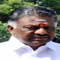 DMK victory in civic polls 'artificial', says AIADMK's Panneerselvam
