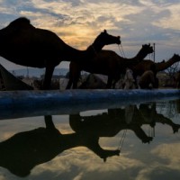 Despite high debts, Rajasthan hopes for silver lining soon