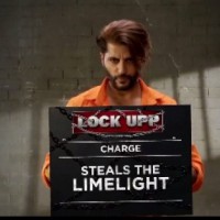 Kaaranvir Bohra the fifth contestant to land in 'badass' 'Lock Upp' jail