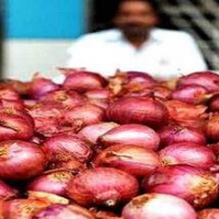 Onion prices: Centre keeping close vigil, says FM