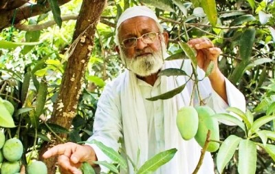 This man and his tree are back in news this mango season This man and his tree are back in news this mango season