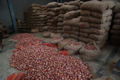 Punjab to set up centre of excellence for onion with Dutch assistance Punjab to set up centre of excellence for onion with Dutch assistance