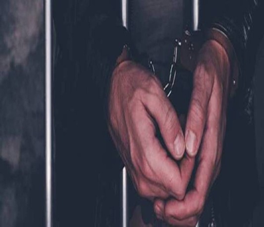 Udaipur horror: Two more arrested, 3 detained Udaipur horror: Two more arrested, 3 detained