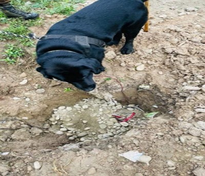IED detected, defused on Srinagar-Baramulla highway IED detected, defused on Srinagar-Baramulla highway