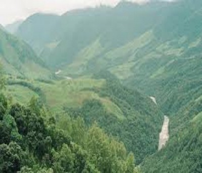 Five bodies of Assam workers located in Arunachal forest after 25 days Five bodies of Assam workers located in Arunachal forest after 25 days