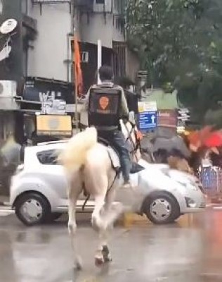 Swiggy looking for unknown delivery man riding horse who went viral Swiggy looking for unknown delivery man riding horse who went viral
