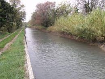 Set up new water tribunal, demands Punjab Set up new water tribunal, demands Punjab