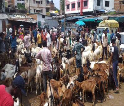 Assam bans illegal animal slaughtering on Eid Assam bans illegal animal slaughtering on Eid