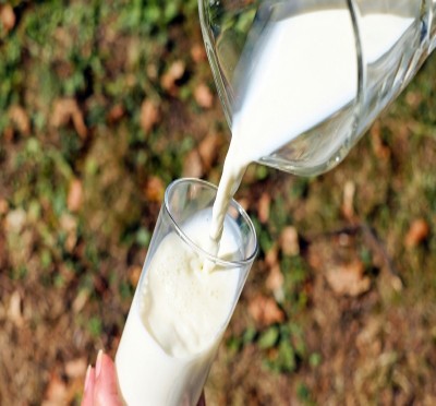 Delhi HC dismisses plea for clean milk supply as 'fundamental right'