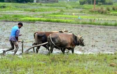 T'gana continues disbursement of investment support among farmers T'gana continues disbursement of investment support among farmers