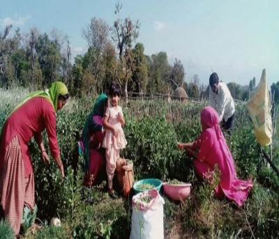 TN: Dharmapuri farmers get online tips on improving skill sets