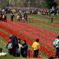J&K to focus on homestays to cater to increasing tourist rush