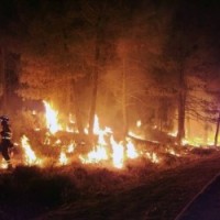 Extreme wildfires here to stay: Spanish expert