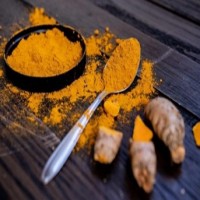 TN for exporting state's turmeric globally