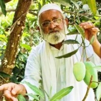 This man and his tree are back in news this mango season