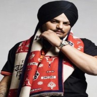 HC dismisses bail plea of Sidhu Moosewala's manager