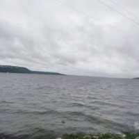 Continue rain triggers flood-like situation in MP