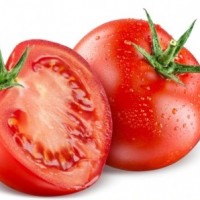 Tomato emerges one of major off-season cash crops in Himachal