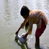 Over 150 suffer from diarrhoea in Lucknow due to contaminated water