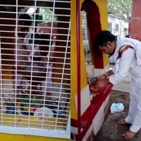 Cong workers worship at Shiva temple at Sonia's 10 Janpath residence