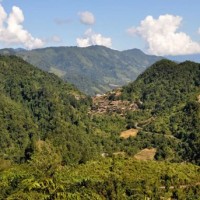 Two more missing Assam workers found in Arunachal forests after 20 days