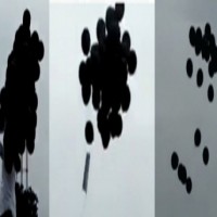 Black balloons released at Vijayawada airport during PM' visit