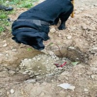 IED detected, defused on Srinagar-Baramulla highway