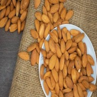 Should you try plant-based protein?