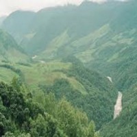8 of 19 missing Assam workers found in Arunachal forest
