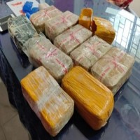Assam police bust inter-state drugs racket, arrest Manipur cop