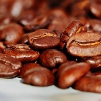 Laos earns over $41 mn from coffee export in Jan-June