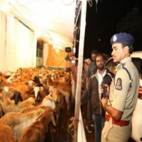 Police on alert in Hyderabad ahead of Ei-ul-Azha
