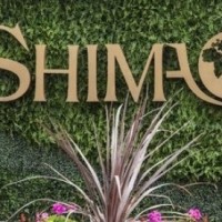 Big Shanghai developer defaults, deals new blow to ailing Chinese real estate