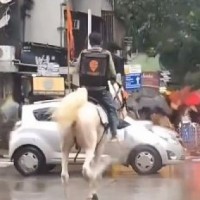 Swiggy looking for unknown delivery man riding horse who went viral