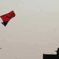 Chinese Manjha claims 30-yr-old man's life in Delhi