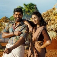 Hari's 'Yaanai' delivers on its promise to entertain
