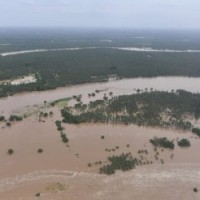 Godavari flows above danger mark at Andhra Pradesh's Dowleswaram