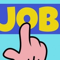 56% of Indian job seekers faced scams during their job hunt: Report