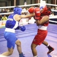 Youth national boxing: Asian champs Vanshaj, Vishwanath win in men's section; Tamanna in quarters
