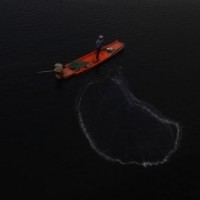 Sri Lankan Navy arrests 12 Indian fishermen from TN